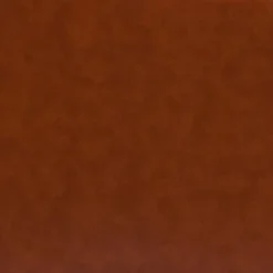 Emma And Oliver Leather Reception/Living Room Loveseat With Cherry Wood Feet 18 Emma And Oliver Leather Reception/Living Room Loveseat With Cherry Wood Feet -Furniture Series Store GUEST 9315da0a ff23 4d07 89e6 7d404ba3db63