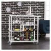 Southern Enterprises Zephs Bar Cart White/Smoky Gray - Holly & Martin