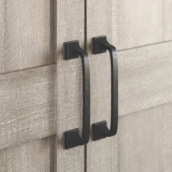 2 Door Storage Cabinet Spring Maple - Sauder -Furniture Series Store GUEST f7f4acef f0fd 4ae1 a088 eda13fbe35d3